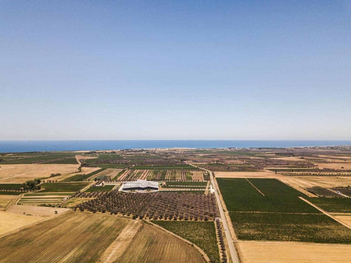 Masseria Torleanzi Wine Relais San Pietro Vernotico Εξωτερικό φωτογραφία